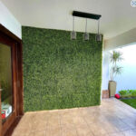 _0000s_0011s_0010_Buxus
