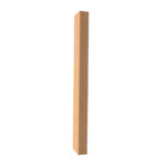 _0010s_0004_viga perfil maple 25x50-2