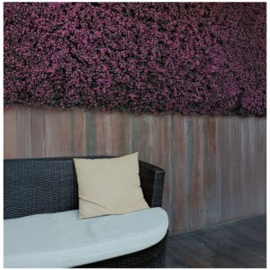 Jardín Vertical Magnolia